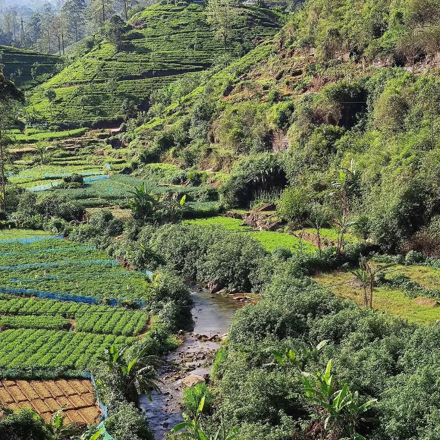 Singing Hills Hotel Nuwara Eliya 0*,