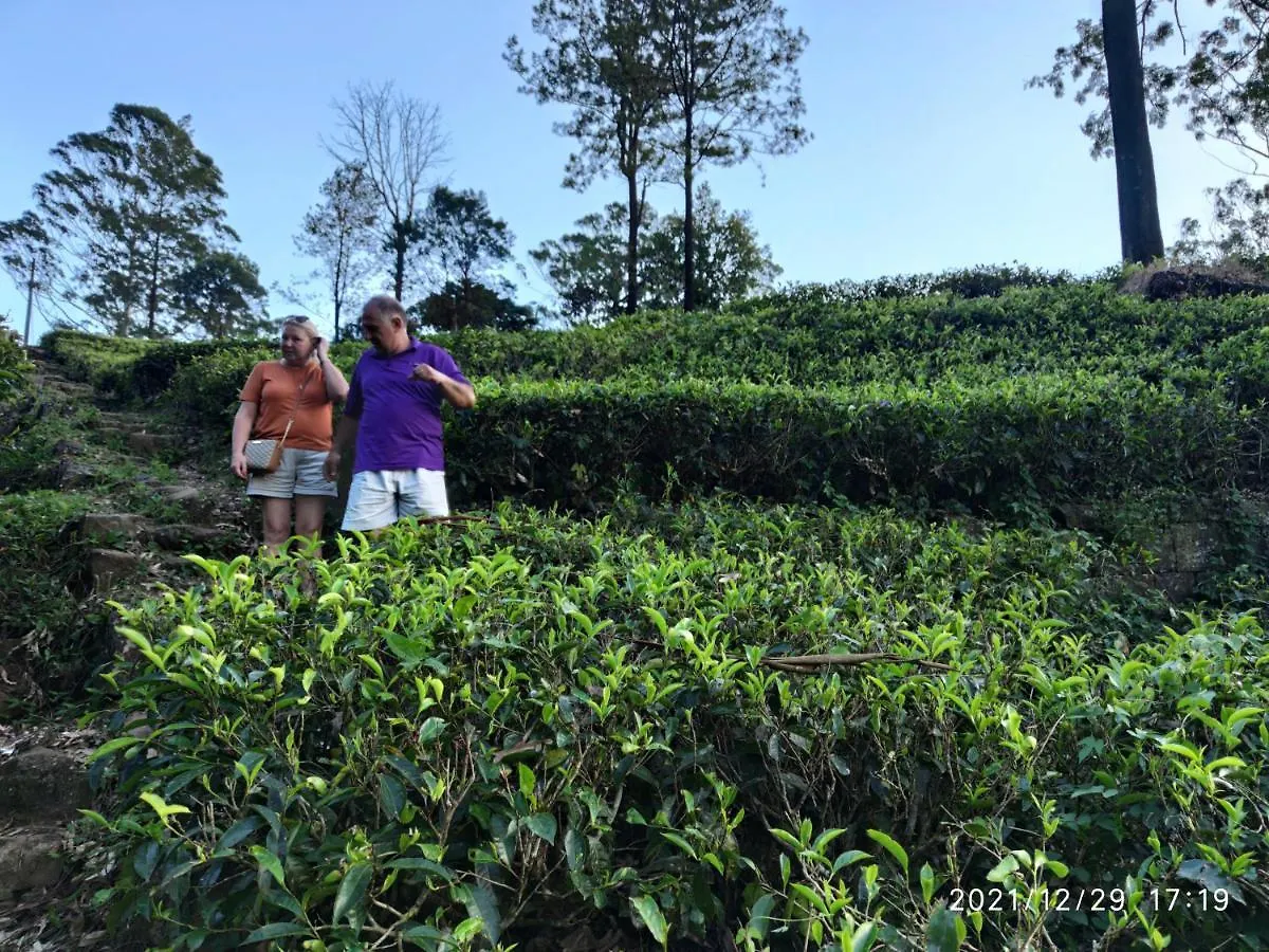 Singing Hills Hotel Nuwara Eliya Šrí Lanka